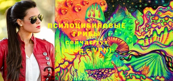 крисы Вязники